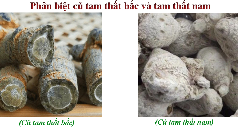 cu_tam_that_nam_va_cu_tam_that_bac