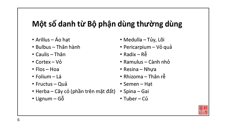 danh_tu_bo_phan_cay_thuoc