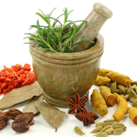 Kỹ thuật bào chế dược liệu trong YHCT